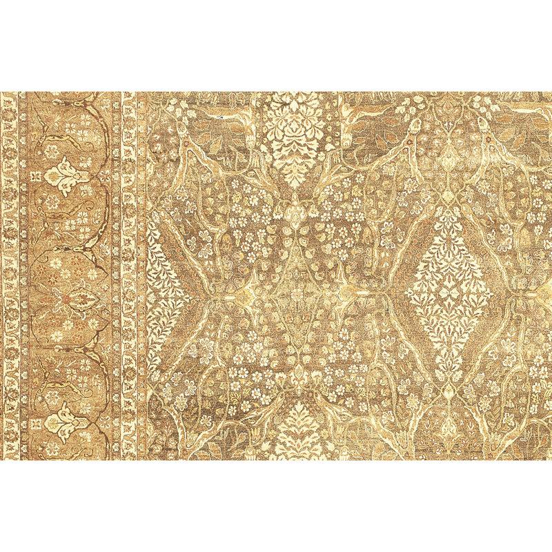 Wool Oriental Area Rug in Gold