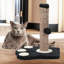 Janay Scratching Post