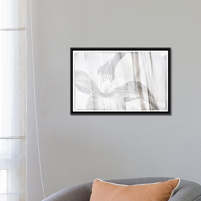 «Black and White Clematis» par Savanah Plank, impression sur toile, H 18 po x l 26 po x P 1,5 po, Pas de tapis