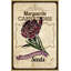 Flower Packet Carnation - Wrapped Canvas Print-507882413