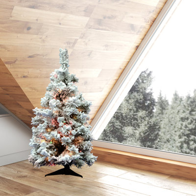 Pfeiffer 36' Lighted Pine Christmas Tree