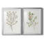 Reproduction encadrée de qualité supérieure simple Sprig III - prête à être accrochée-756675090-756675102