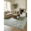 Oriental Area Rug in Blue-1556399109