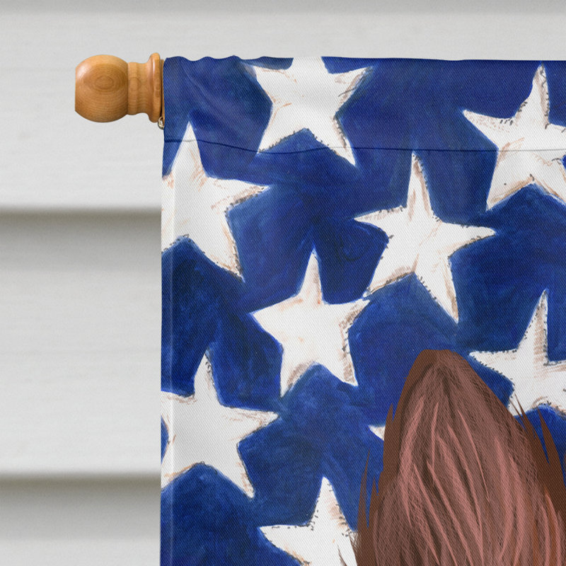 Polyester à 2 côtés 28 x 40 po drapeau maison, Berger de Bohème