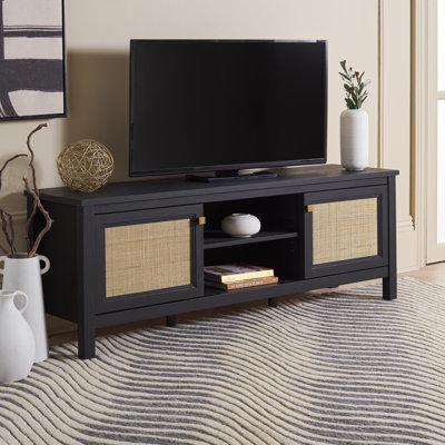 Alyosha 2 Door TV Stand