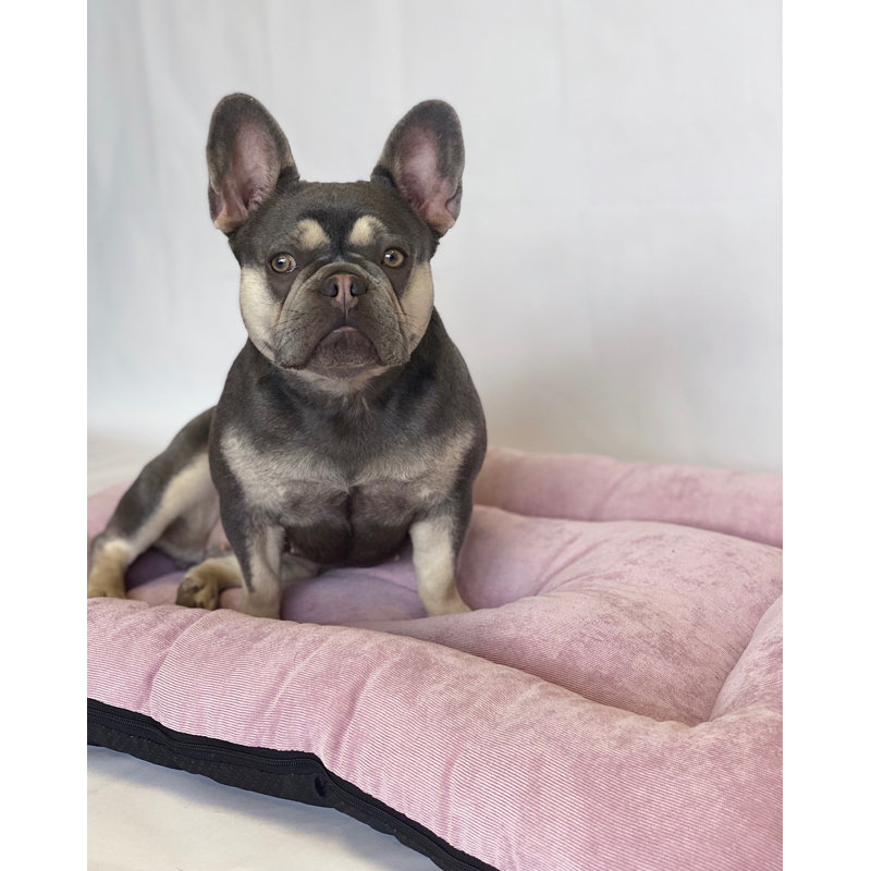 Vera Polyester Pet Bed, 50cm H x 35cm W x 8cm D, Dusky Pink