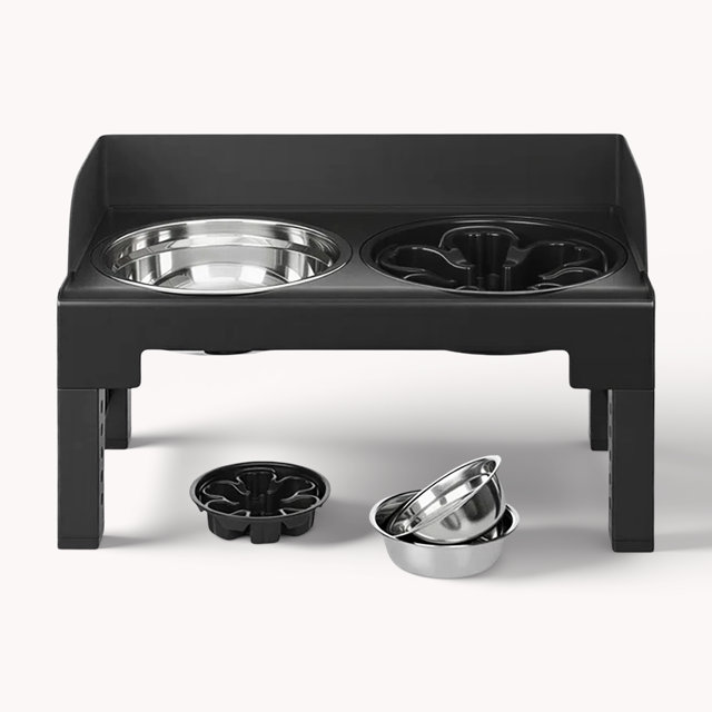dog bowl