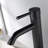 Vessel Sink Bathroom Faucet with Drain Assembly-53160356