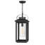Medium Hanging Lantern-252414791