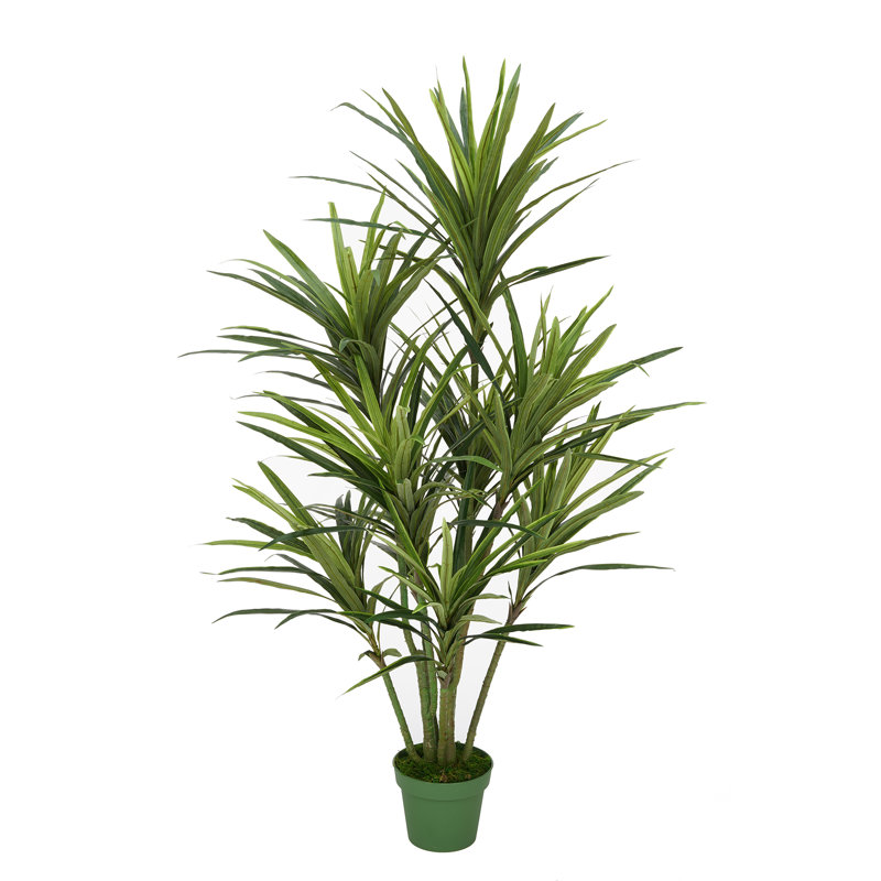 Dracaena artificiel dans un pot de fleurs, H 60 po x l 36 po x P 36 po