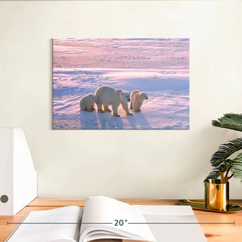 Brampt Canadian Polar Bears