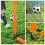 Songmics 120x91x91cm Steel Foldable Football Net with Carrying Case-109025226