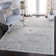 Willena Performance Oriental Rug