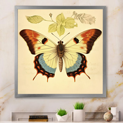 Illustration rétro d'un papillon élégant I