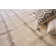 Chroma Geometric Area Rug in Ivory/Silver