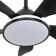 36 Inch Modern Ceiling Fan With Lights&Remote Control