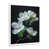 Cadre simple blanc