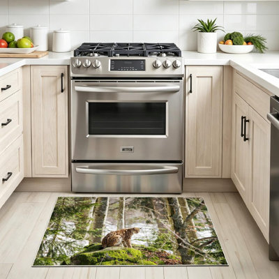 Clear Machine Washable,Forest National Park Animal Beast Indoor Area Rug