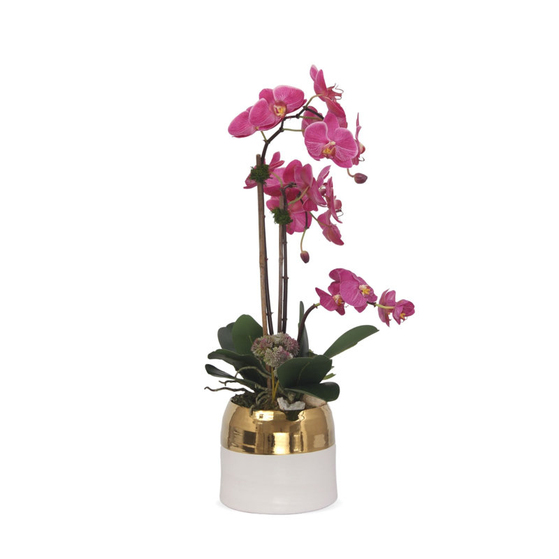 Silk Orchid Arrangement in Pot