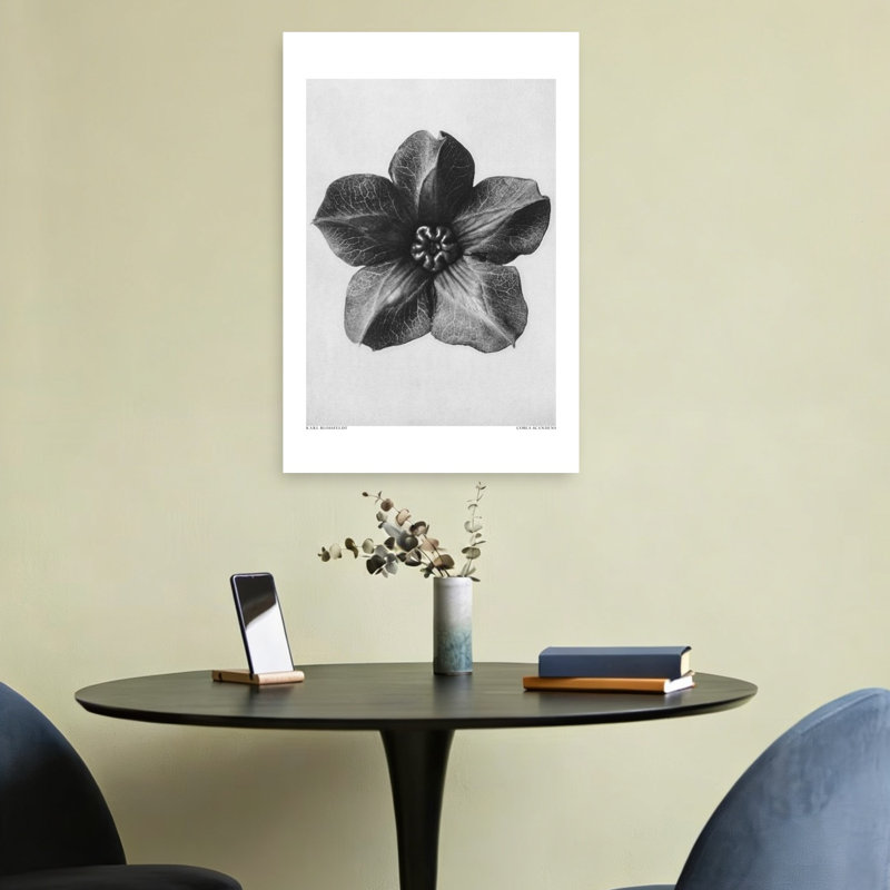 «Cobaea Scandens», impression d'art rétro fleur rétro, 24" H x 16" W