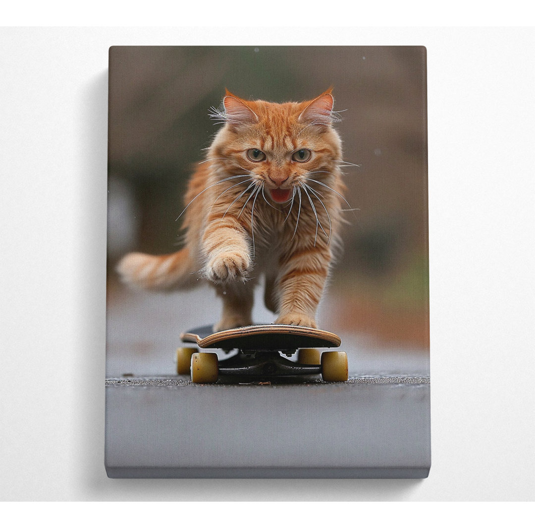 Katze Skateboarding - Ohne Rahmen Kunstdrucke auf Leinwand