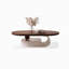 Table basse noyer massif et bois manufacturé-129166857