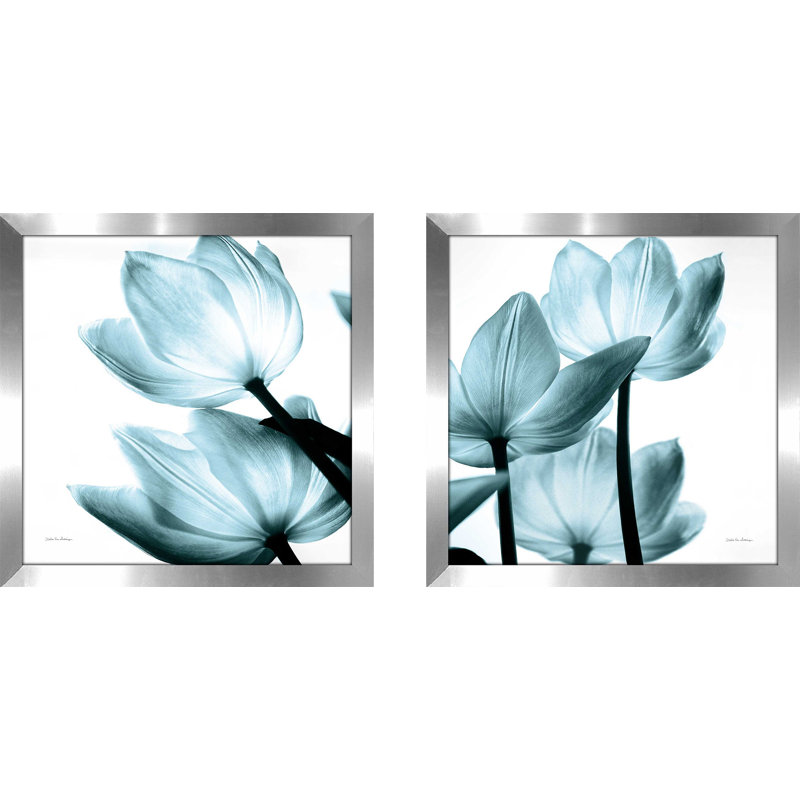 " Translucent Tulips II Sq Aqua Crop " by Debra Van Swearingen 2 - Pieces, No Mat, 16.5" H x 33" W x 1" D
