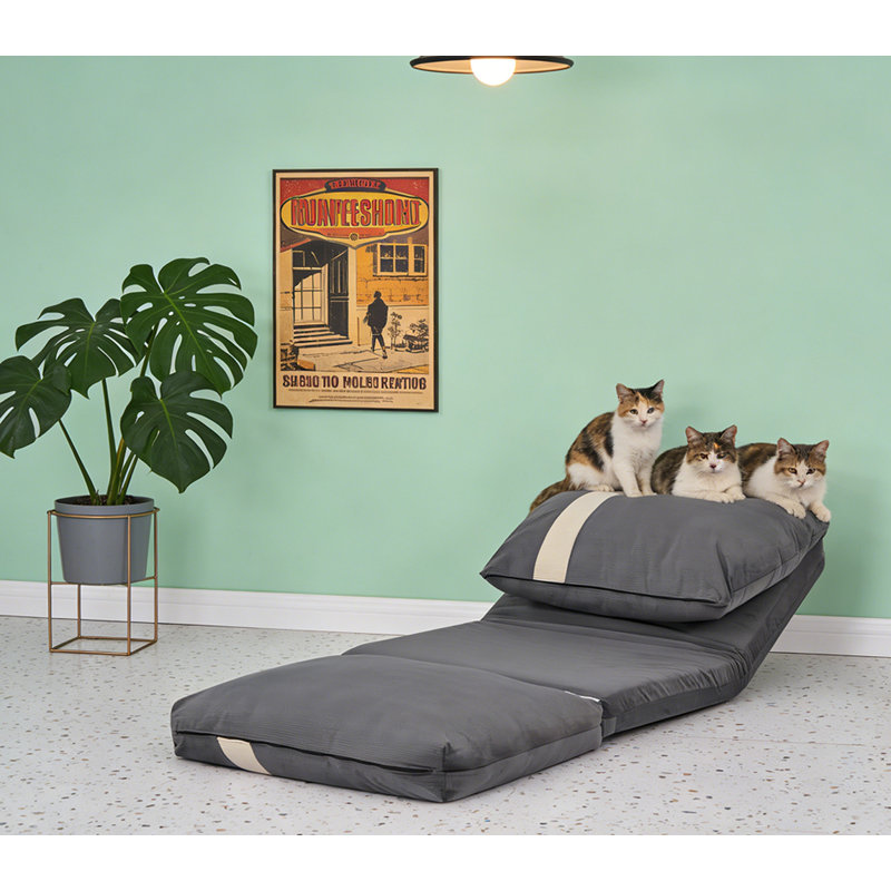 Canapé-lit moderne pour adultes et animaux de compagnie, Gris foncé