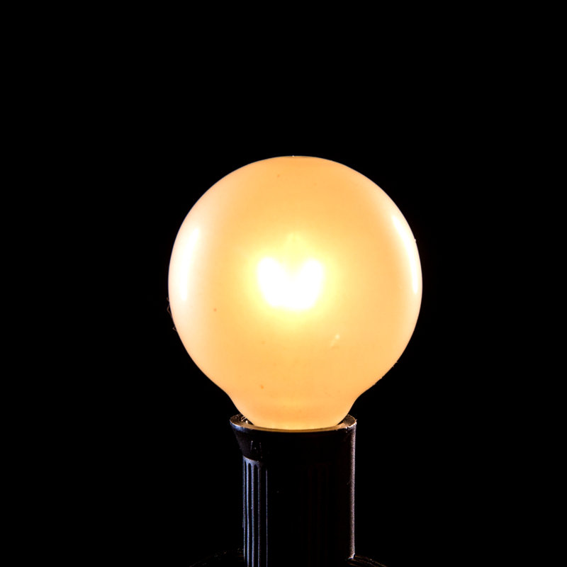 Tavis Outdoor 100 - Bulb 100'' Plug-in Globe String Light, Black