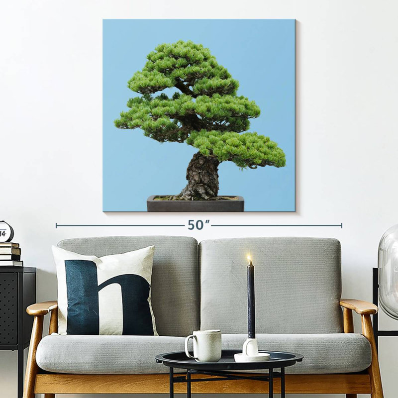 Harnek Japanese Pine Tree
