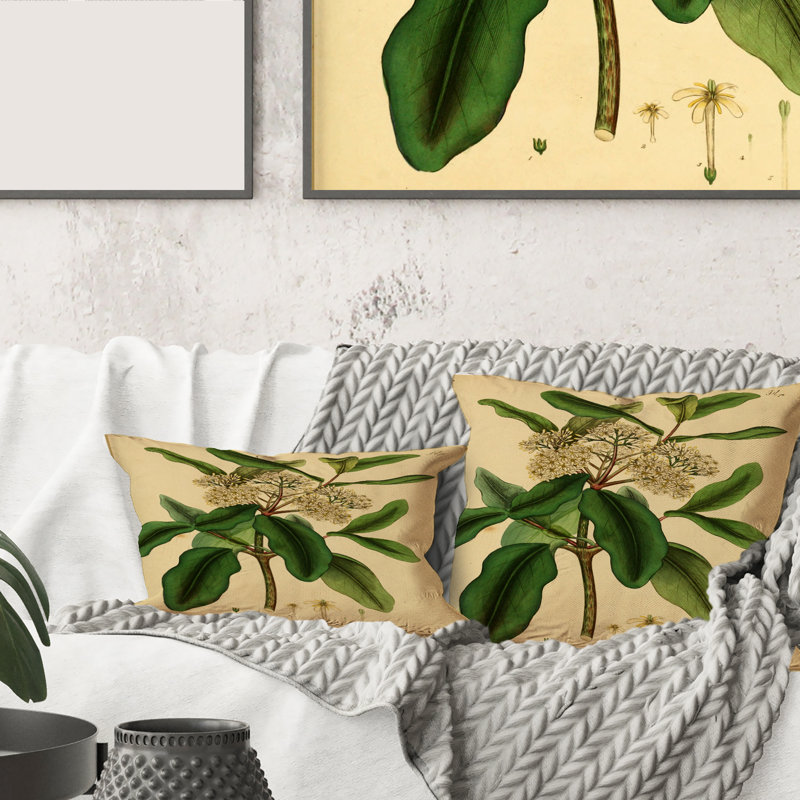 «Vintage Plant Life I» - coussin traditionnel imprimé, 16" x 16"