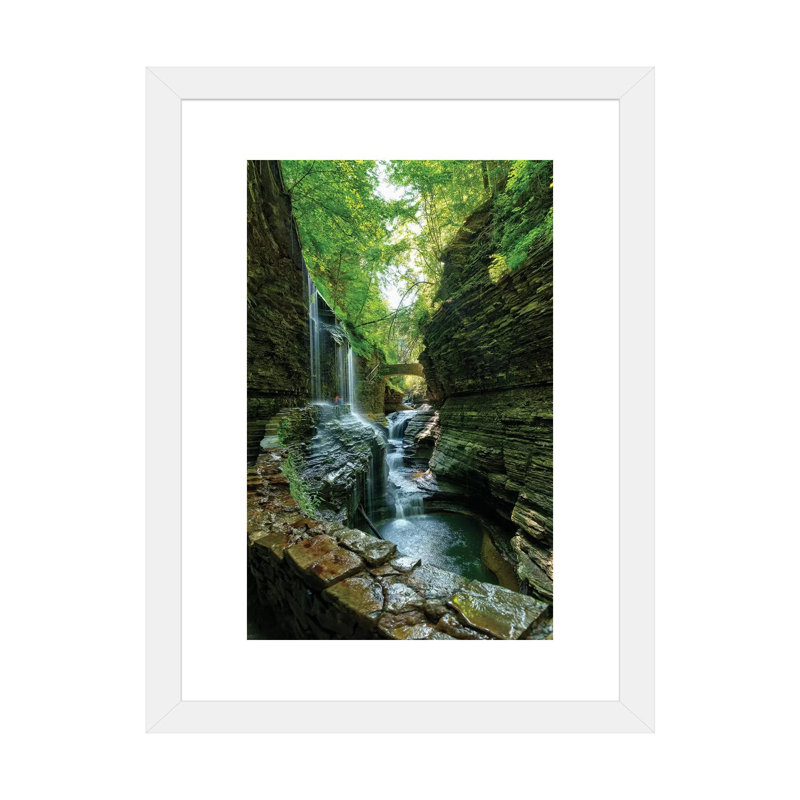 " Rickets Glen " by David Gardiner, 24" H x 16" W x 1" D, White Paper, White