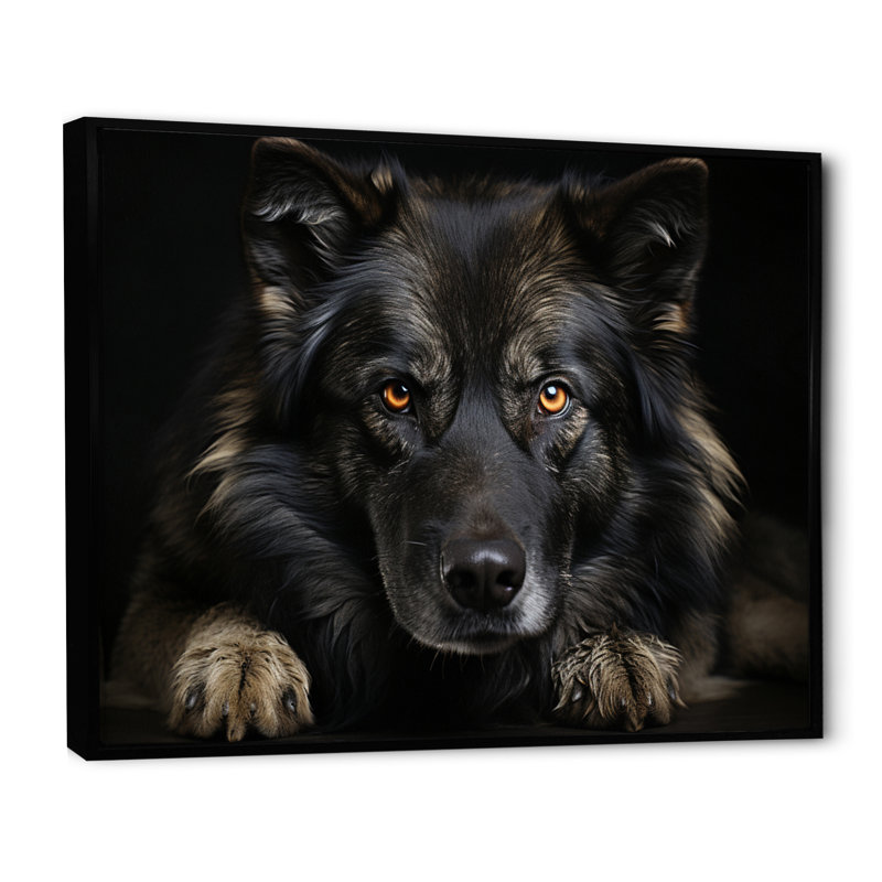 Portrait de chien I - reproduction sur toile, Cadre flottant noir, H 16 po x l 32 po x P 1 po