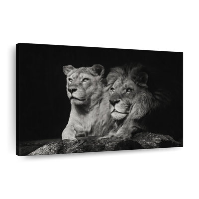 Lion And Lioness Mates Canvas Print
