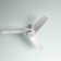 Huntingdon 52'' Ceiling Fan with LED Lights