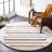 Calico Shag Performance Striped Rug-1824724363