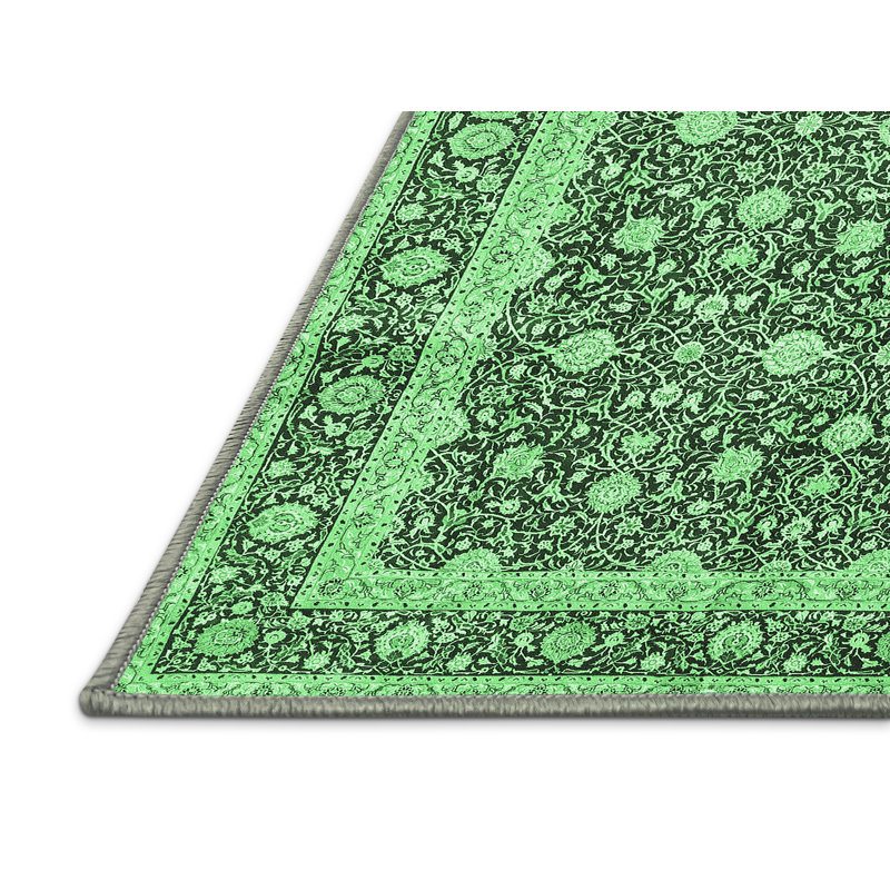 Maesynn Washable Oriental Indoor Rug, Rectangle 4' x 6'