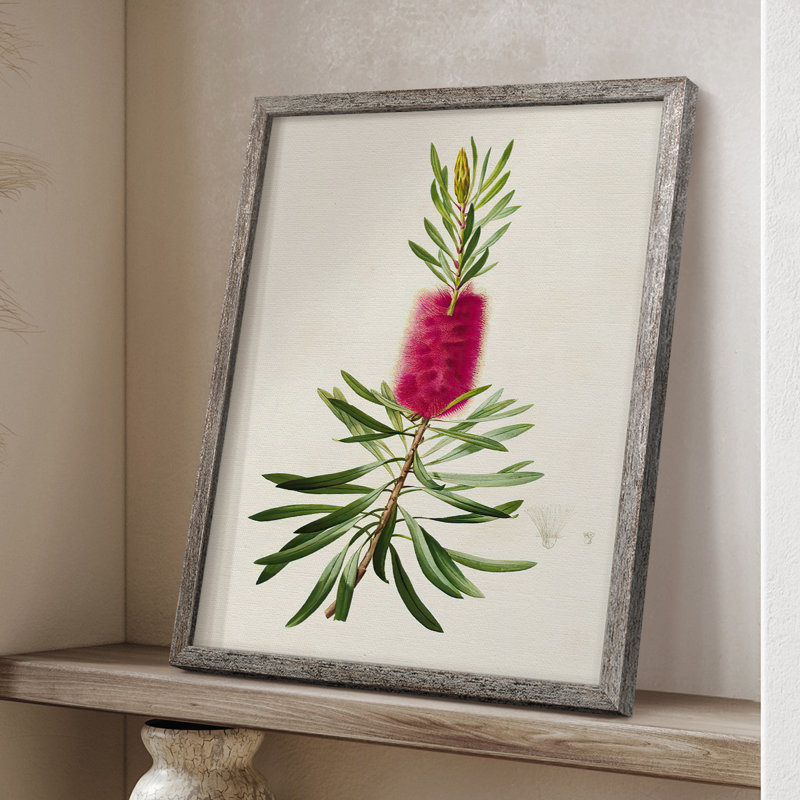 «Pretty Pink Botanicals VII», reproduction encadrée - bois massif, H 30 po x l 24 po