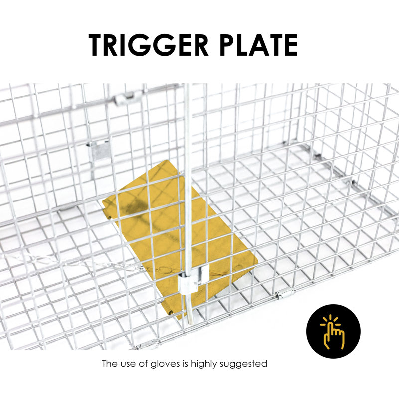 Large Collapsible Humane Live Animal Cage Trap for Raccoon, Opossum, Stray Cat, Rabbit, Groundhog and Armadillo - 32" x 10" x 12"