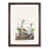 Walnut Framed selected