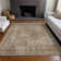 Machine Washable Indoor/Outdoor Claudian ACN1629 Beige Rug
