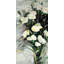 Lisianthus, bouquet de fleurs blanches encadrées