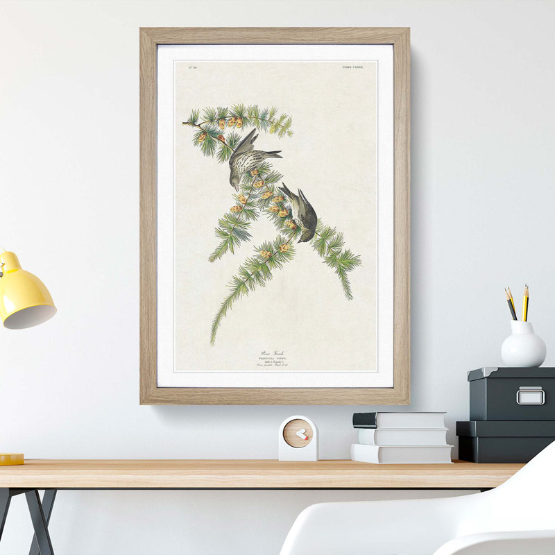 Pine Finches by John James Audubon - Framed Print, 48cm H x 36cm W x 2cm D, Oak Framed