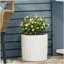Jardinière Mgo-829569977