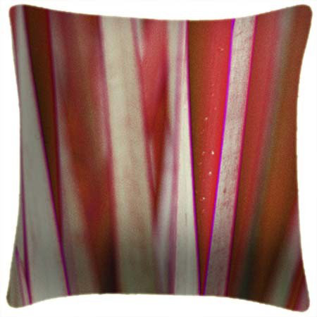 Grass 4 - Ella Lancaster Cushion