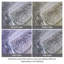 Super Soft Shaggy Area Rug-2025998889-2020107483