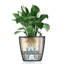 Classico Pot Planter-16493121-16493125