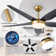 52" 5 - Blade Reversible Ceiling Fan With LED Light and Remote Control