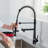 FLG Pull Down Kitchen Faucet-67104649