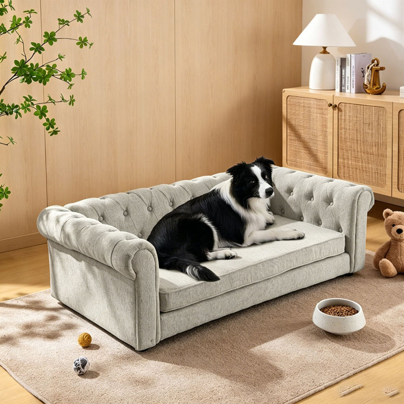 Élégant lit rectangulaire pour animaux de compagnie pour les chiens de grande taille et surdimensionnés, canapé-lit surélevé durable et canapé pour chien confortable